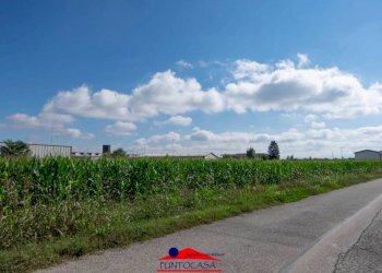 Zona - Terreno edificabile Borgata Marino, Busca - foto 8