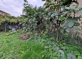 WhatsApp Image 2024-10-15 at 09.15.25 (1).jpeg - Terreno edificabile Viale Europa, Acquanegra Cremonese - foto 15