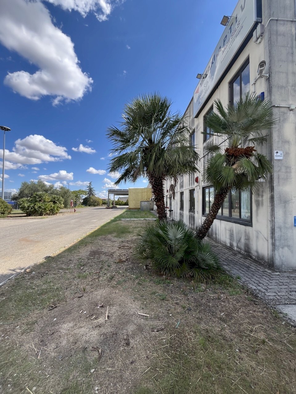 IMG_3481.JPG - Locale Commerciale Zona Industriale si San Nicola, Melfi - foto 3