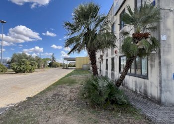 IMG_3481.JPG - Locale Commerciale Zona Industriale si San Nicola, Melfi - foto 3