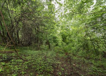 Independent house Via Beltramone, 77, Barge - photo 7