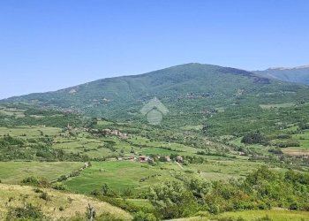 Semi-detached house Località Merlassino, Cantalupo Ligure - photo 6