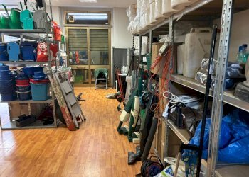 Commercial Activity Via Gianfrancesco Re, Torino - photo 3