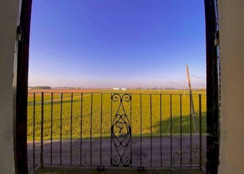 Vista - Rustico strada Vicinale San Sisto, Tortona - foto 19