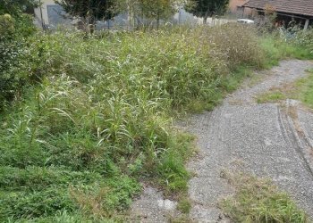 Terreno - Terreno edificabile via Bolzano, Gallarate - foto 11