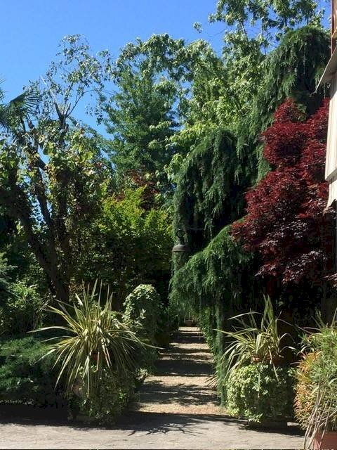 Giardino - Villa via 20 Settembre, Belgioioso - foto 2