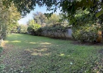 Giardino - Villa via 20 Settembre, Belgioioso - foto 3