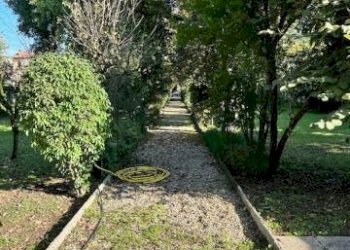 Giardino - Villa via 20 Settembre, Belgioioso - foto 4