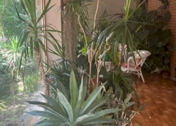 Giardino - Villa via 20 Settembre, Belgioioso - foto 12