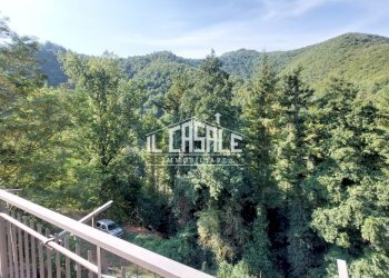 12appsgodenzos.jpg - Trilocale San Godenzo - foto 12