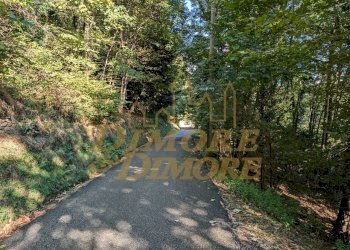 Strada principale che conduce al garage.jpg - Villa via case garoni 29, Intragna - photo 23