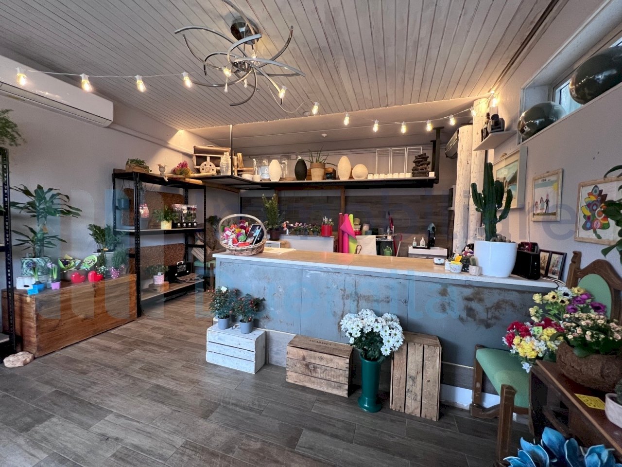 IMMAGINE01-ink.jpeg - Non Alimentare Bologna - foto 1