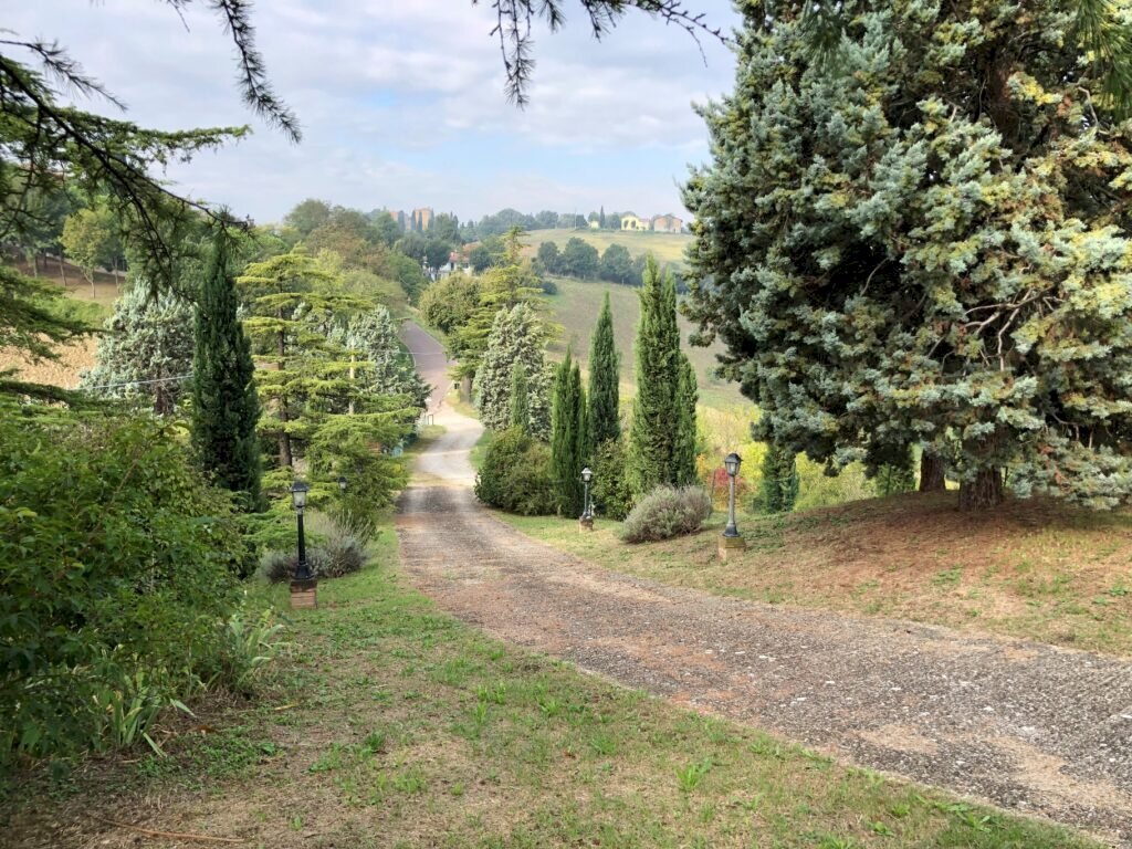 Villa Valsamoggia - photo 1