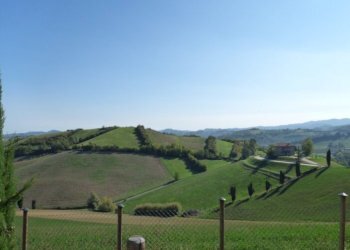 Villa Valsamoggia - photo 23