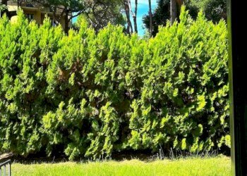 Appartamento Genova - foto 13