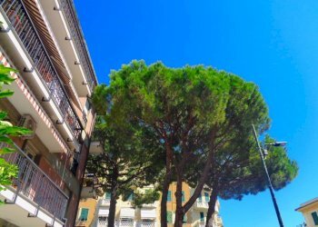 Four-room apartment Genova - photo 23