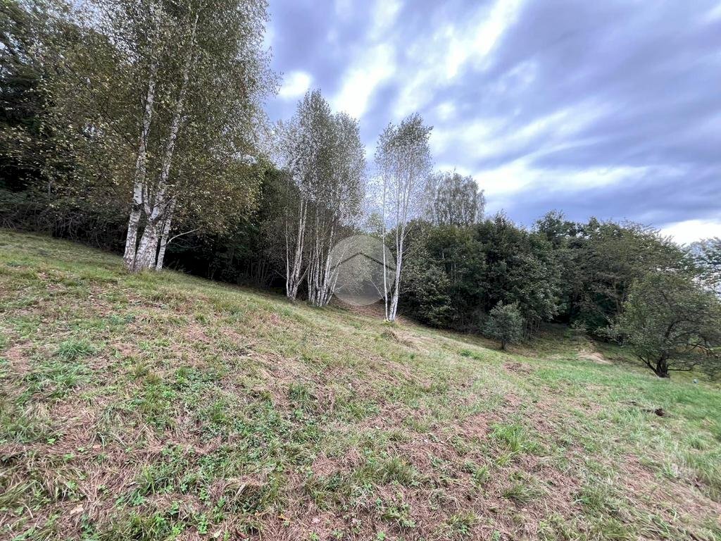 Terreno agricolo Via Ramai, Varisella - foto 1