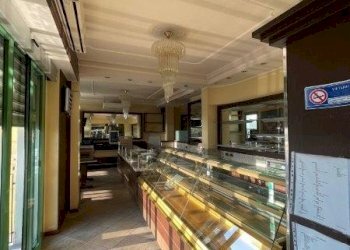 Gelateria Ferrara - foto 12