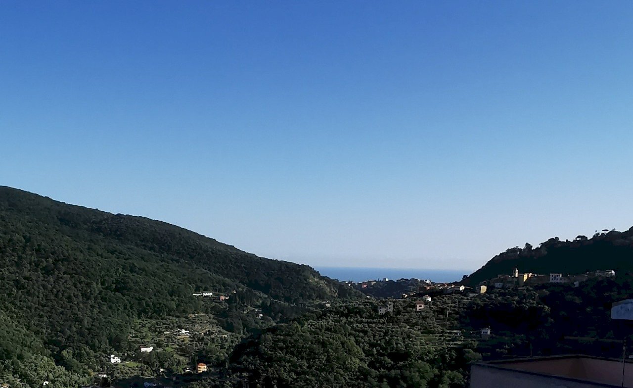 WhatsApp Image 2024-10-17 at 11.28.07 (1).jpeg - Terratetto - Terracielo via sottocastello, Arcola - foto 2