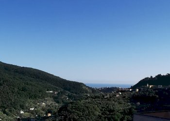 WhatsApp Image 2024-10-17 at 11.28.07 (1).jpeg - Terratetto - Terracielo via sottocastello, Arcola - foto 2