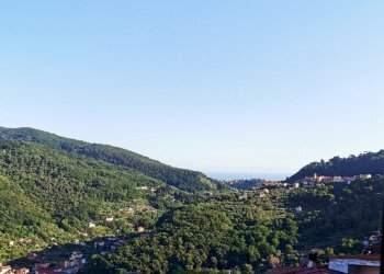 WhatsApp Image 2024-10-17 at 11.28.04.jpeg - Terratetto - Terracielo via sottocastello, Arcola - foto 15