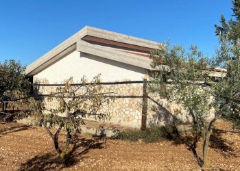 IMG_9356.jpg - Villa a Schiera Via Acquaviva, Casamassima - foto 4