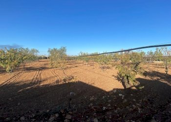 IMG_9349.jpg - Villa a Schiera Via Acquaviva, Casamassima - foto 12