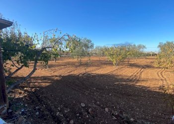 IMG_9350.jpg - Villa a Schiera Via Acquaviva, Casamassima - foto 13