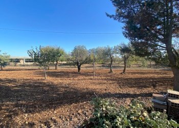 IMG_9351.jpg - Villa a Schiera Via Acquaviva, Casamassima - foto 14