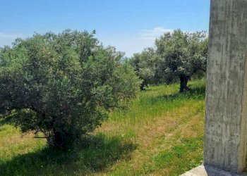 Stabile - Palazzo Silvi - foto 4