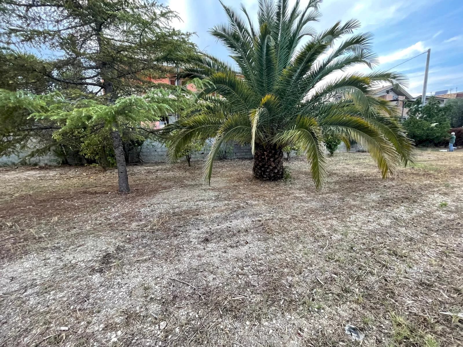 Terreno edificabile Silvi - foto 3