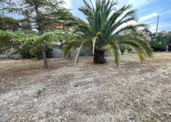 Terreno edificabile Silvi - foto 1