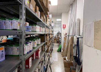 Shop Morlupo - photo 5