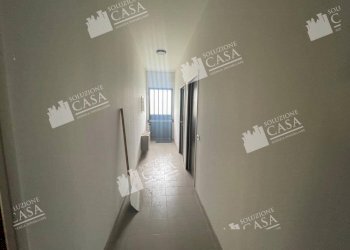 Capannone Castello d'Argile - foto 3