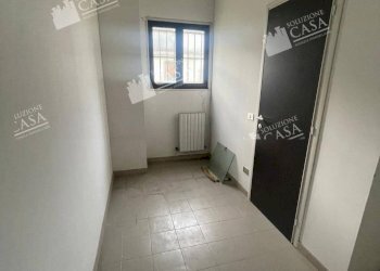 Capannone Castello d'Argile - foto 5