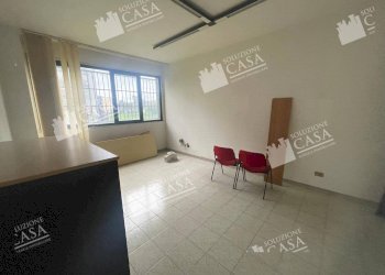 Capannone Castello d'Argile - foto 7