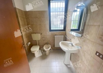 Capannone Castello d'Argile - foto 13