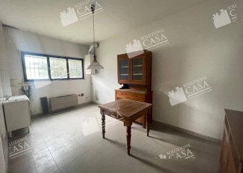 Capannone Castello d'Argile - foto 22