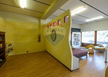 Negozio Pedrengo - foto 11