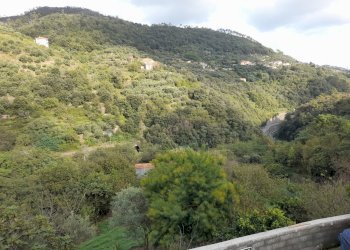 vista - Trilocale Savona - foto 10