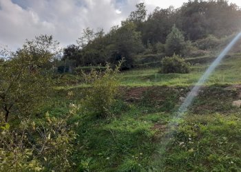terreno - Trilocale Savona - foto 12