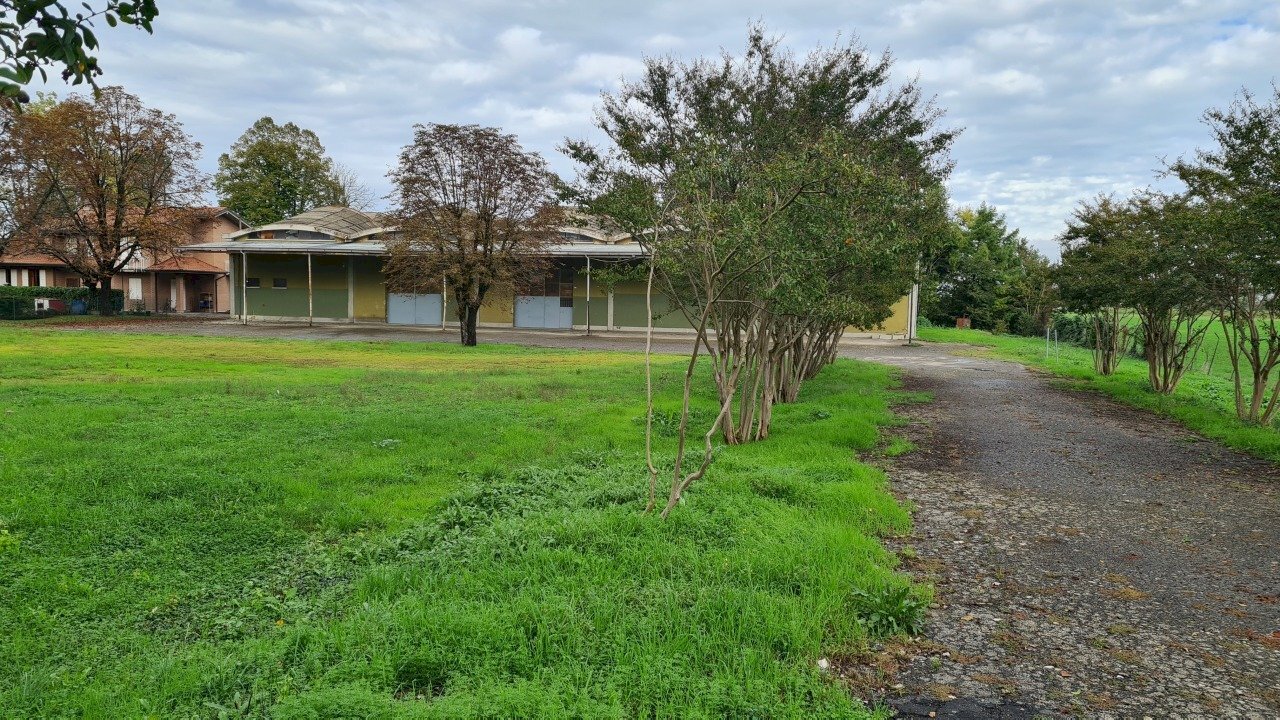 20241018_144548.jpg - Capannone Reggio nell'Emilia - foto 1