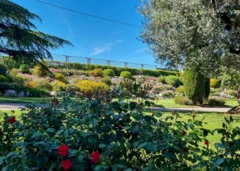 Villa Senigallia - foto 6