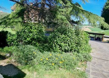 Villa Senigallia - foto 12