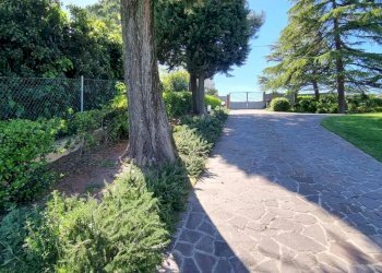 Villa Senigallia - foto 13