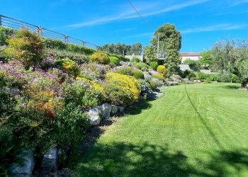 Villa Senigallia - foto 16