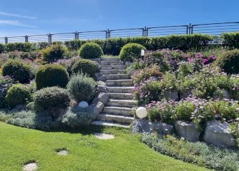 Villa Senigallia - foto 19