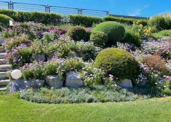 Villa Senigallia - foto 21