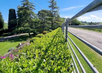 Villa Senigallia - foto 30