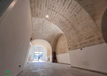 Locale Commerciale Triggiano - foto 5